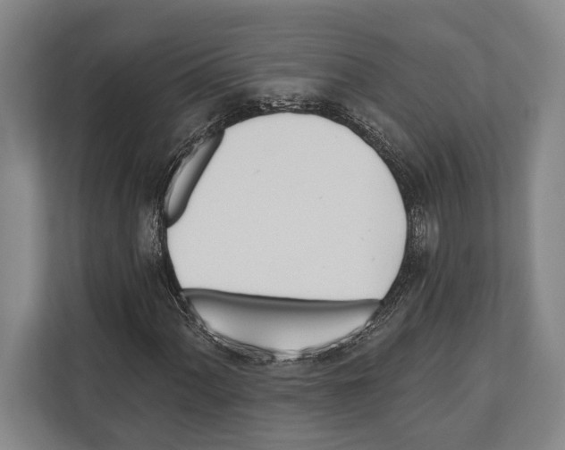 X0000112181060200909181429