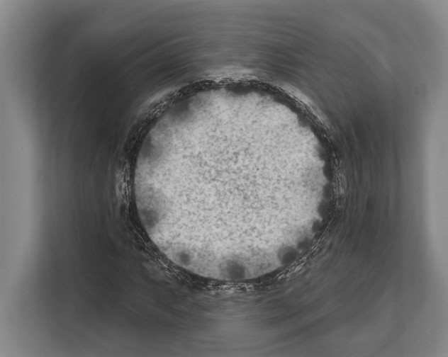 X0000112181063200909181429
