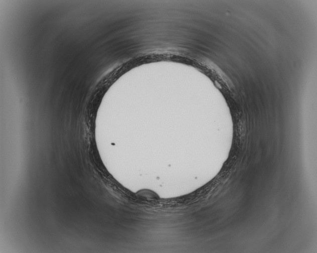 X0000112181064200909181429