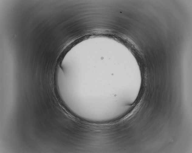 X0000112181065200909181429