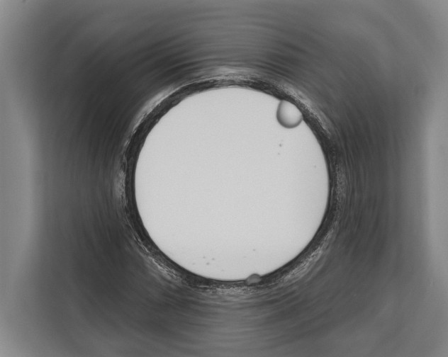 X0000112181066200909181429