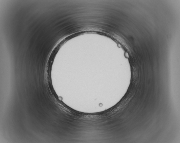 X0000112181068200909181429