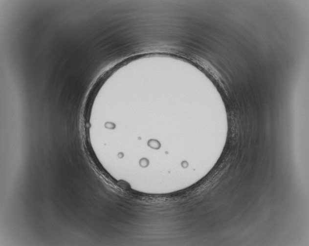 X0000112181072200909181429
