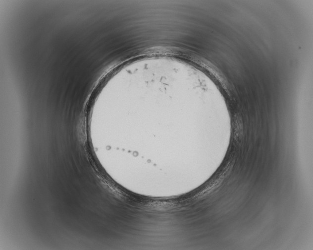 X0000112181075200909181429