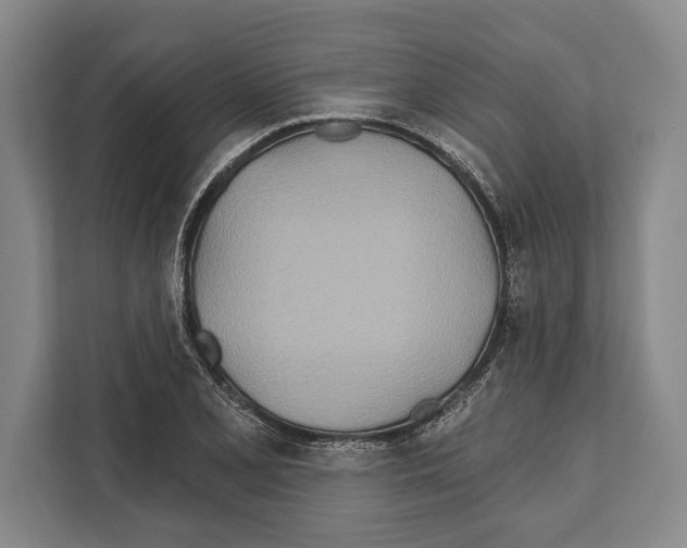 X0000112181077200909181429