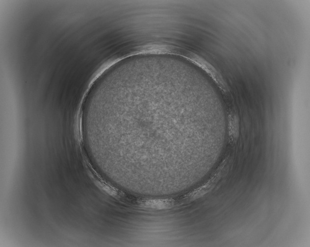 X0000112181078200909181429