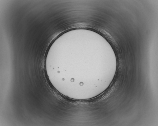 X0000112181081200909181429