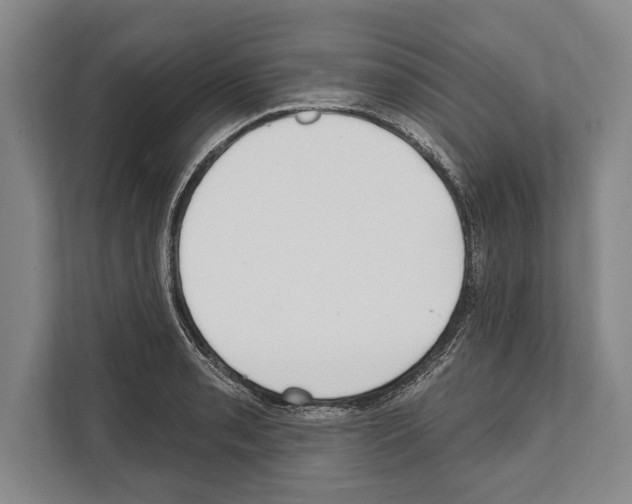 X0000112181085200909181428