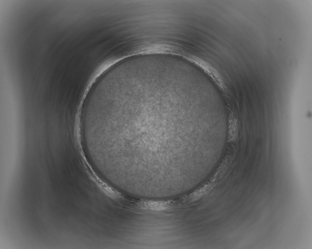 X0000112181086200909181428
