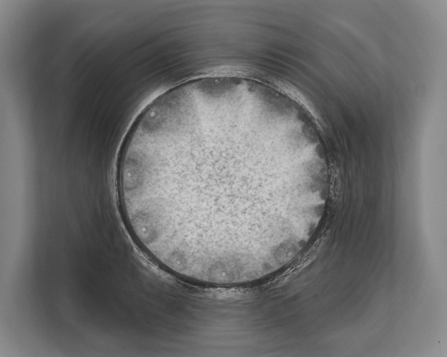 X0000112181087200909181428
