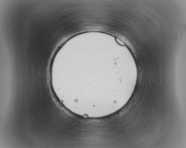 X0000112181088200909181428