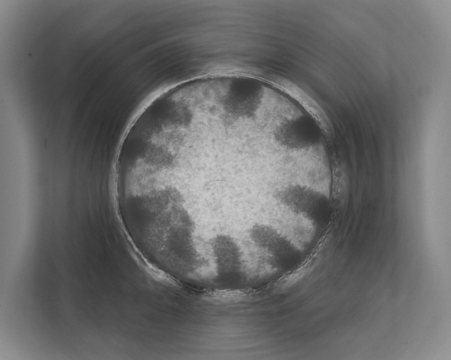 X0000112181094200909181428
