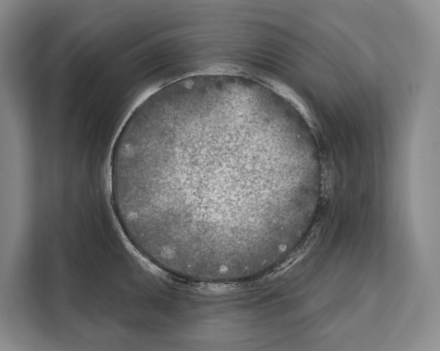 X0000112181095200909181428