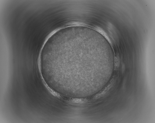 X0000112181098200909181428