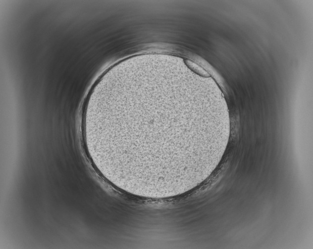 X0000112181099200909181428