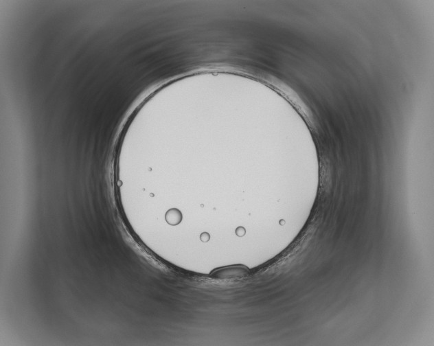 X0000112181100200909181428