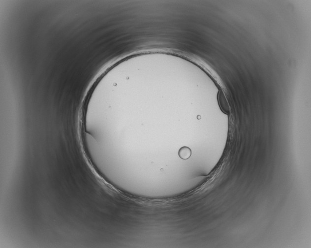 X0000112181101200909181428