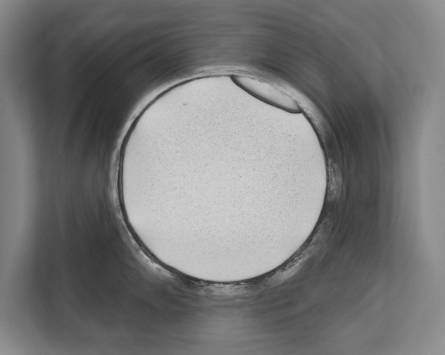 X0000112181102200909181428