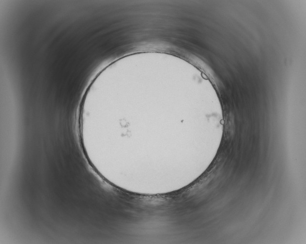 X0000112181103200909181428