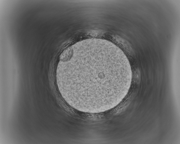X0000112181105200909181428