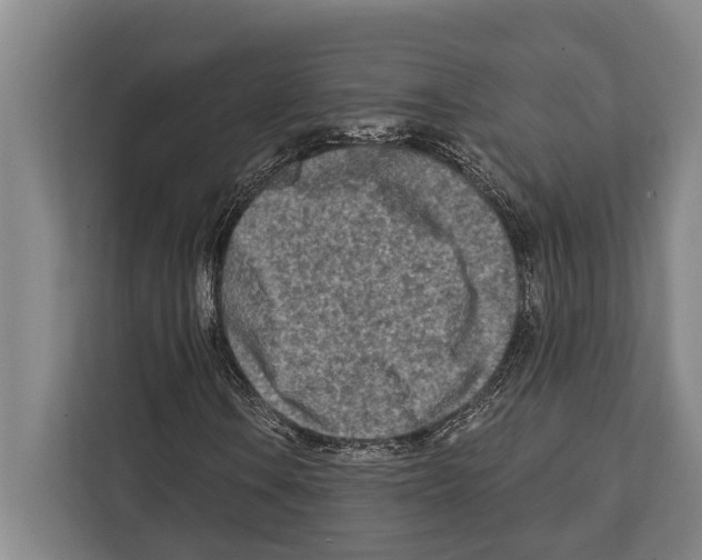 X0000112181106200909181428