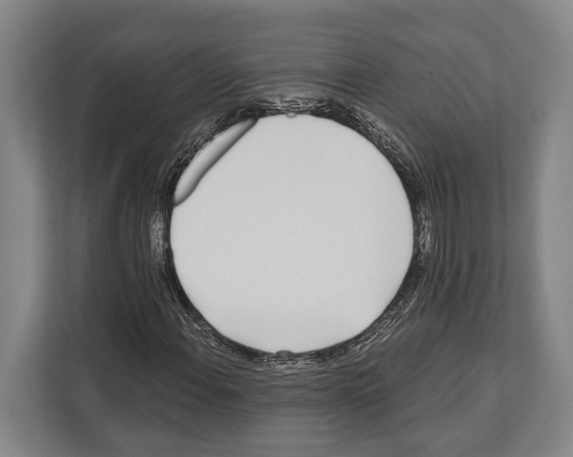 X0000112181108200909181428