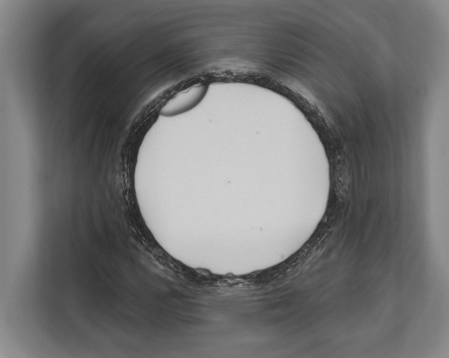 X0000112181112200909181428