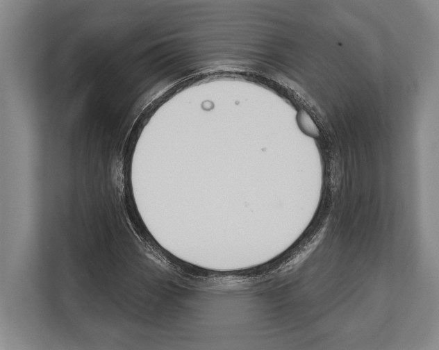 X0000112181113200909181428