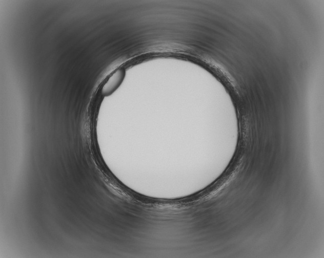 X0000112181114200909181428