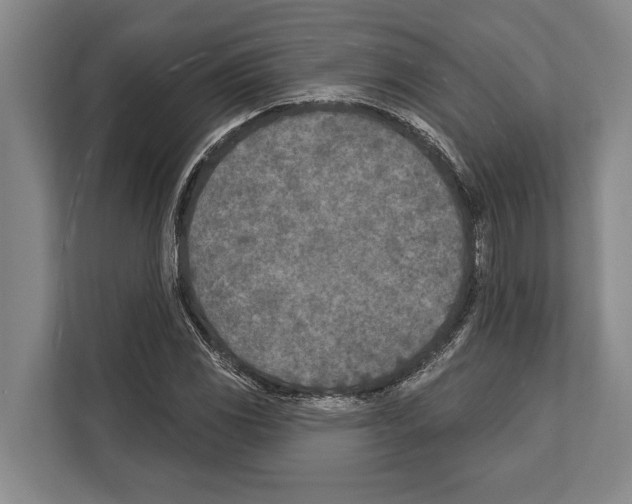 X0000112181117200909181428