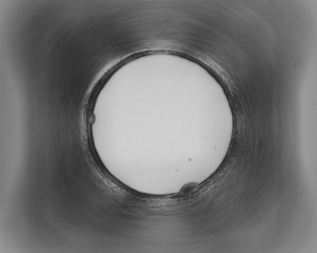 X0000112181120200909181428