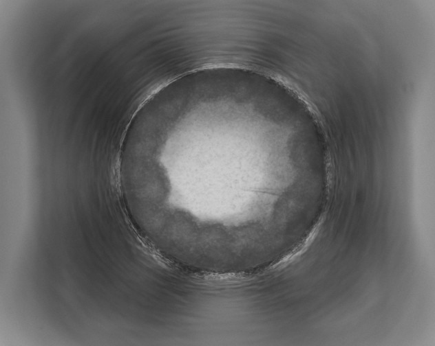 X0000112181121200909181428