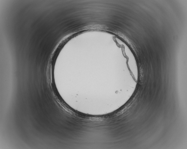 X0000112181123200909181428