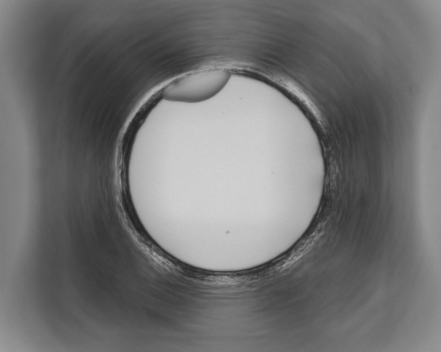 X0000112181124200909181428