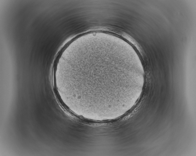 X0000112181127200909181428