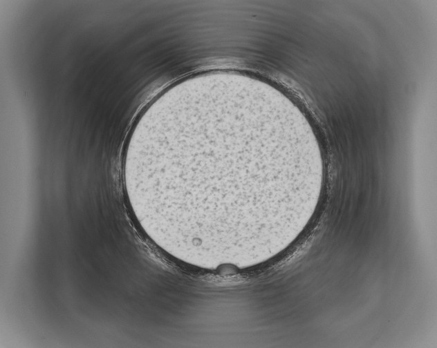 X0000112181129200909181428