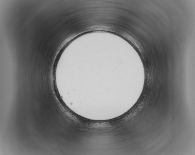 X0000112181133200909181428