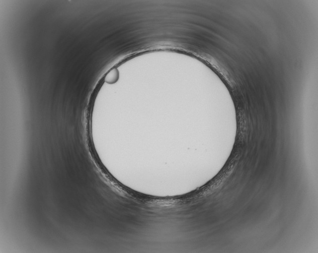 X0000112181134200909181428