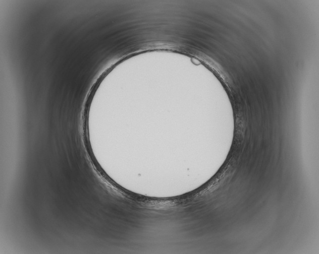 X0000112181135200909181428