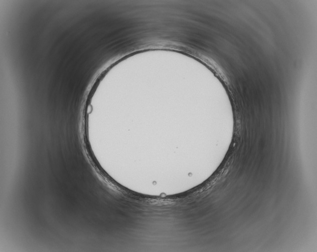 X0000112181136200909181428