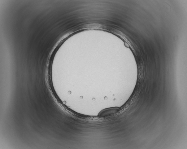 X0000112181139200909181428
