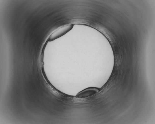 X0000112181140200909181428