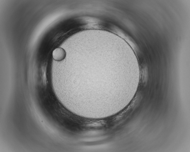 X0000112181150200909181428
