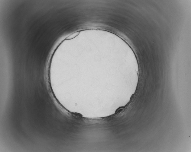 X0000112181152200909181428
