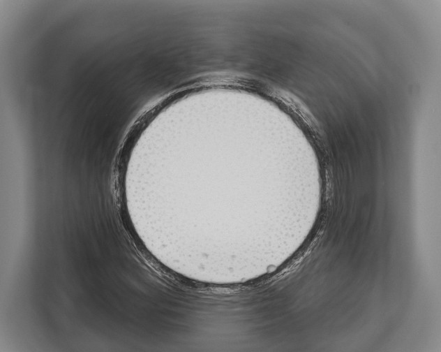 X0000112181164200909181427