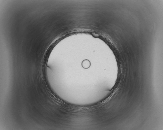 X0000112181165200909181427