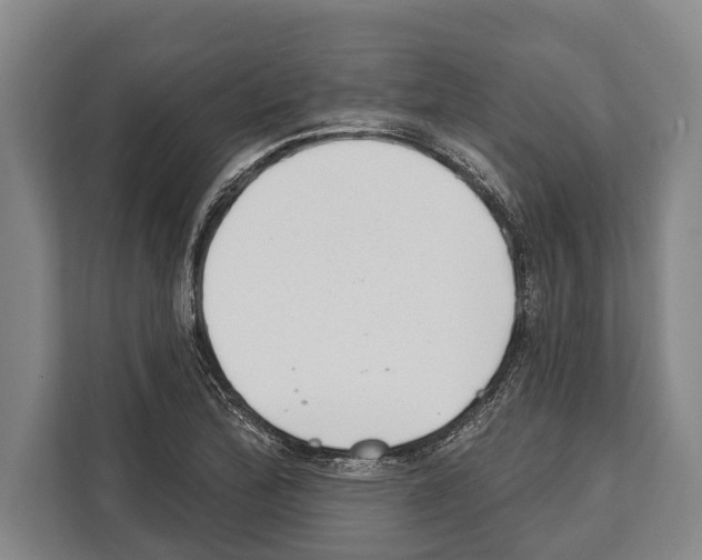 X0000112181172200909181427