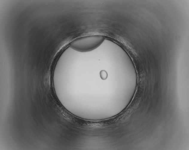 X0000112181173200909181427