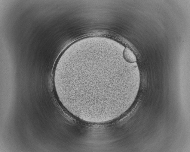 X0000112181178200909181427
