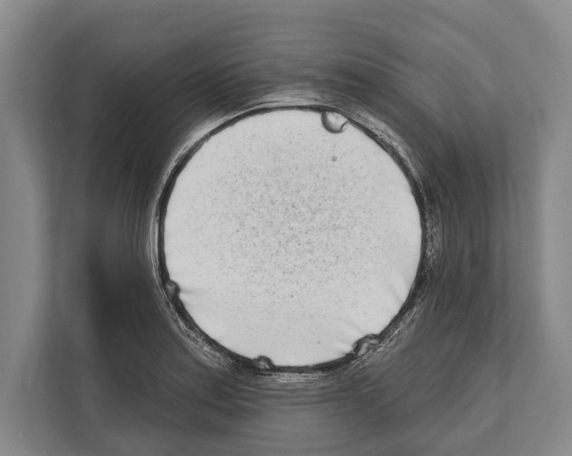 X0000112181179200909181427